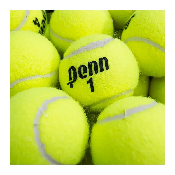 Penn Championship Tennis Ball, 60 Balls