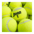 Penn Championship Tennis Ball, 60 Balls