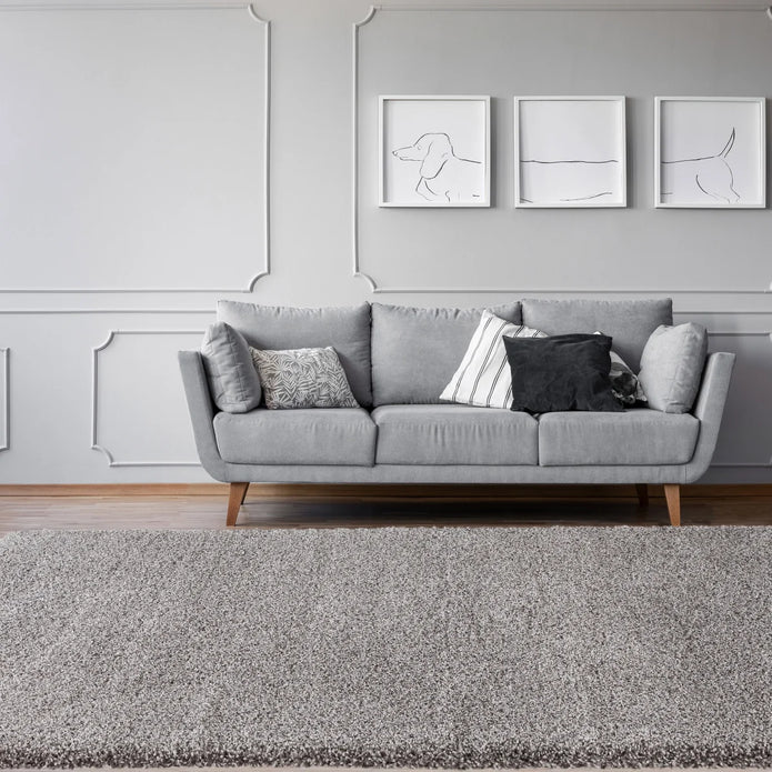 CAM Living Brooklyn Shag Area Rug