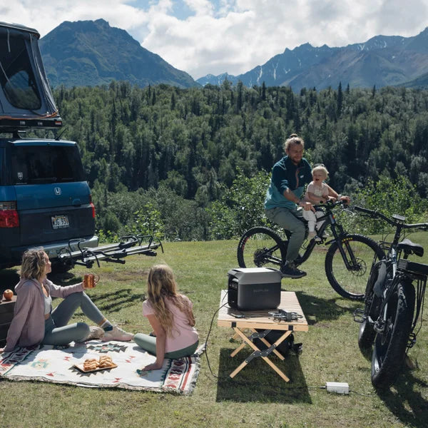 EcoFlow DELTA 3 Portable Power Station