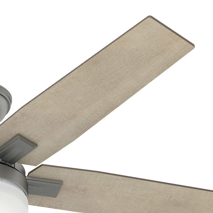 Hunter Fan Apex II 132 cm (52 in.) Ceiling Fan with LED Light