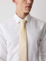 Regular Tie with Micro Petals