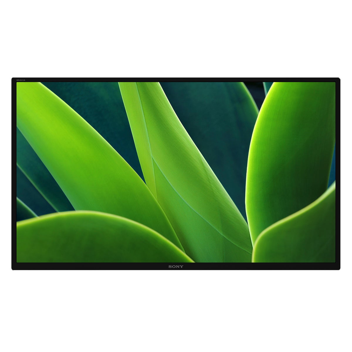 Sony 32