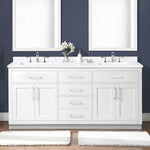 OVE Alonso 72 in. Double Vanity