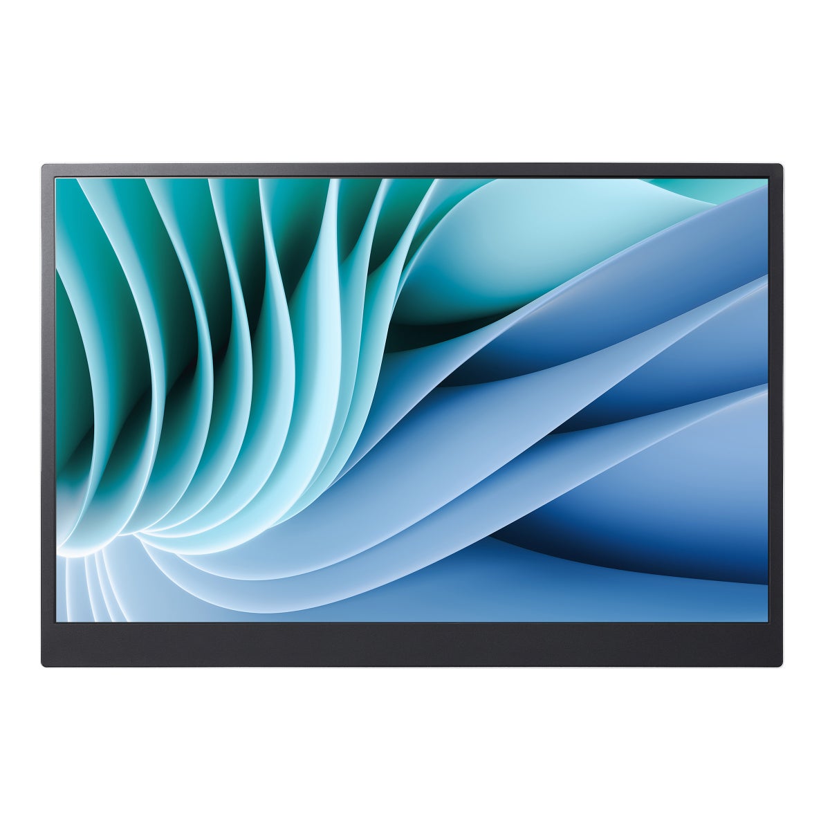 LG gram +view 16-in. Portable WQXGA Monitor (2560 x 1600)