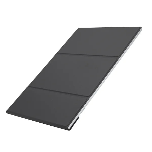 LG gram +view 16-in. Portable WQXGA Monitor (2560 x 1600)