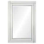 Willow Rectangular Mirror with Beveled Mirror Frame
