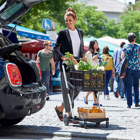 Personal Folding Shopping Cart