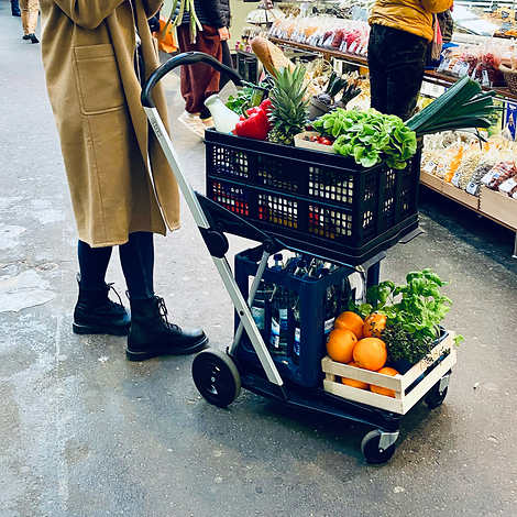Personal Folding Shopping Cart