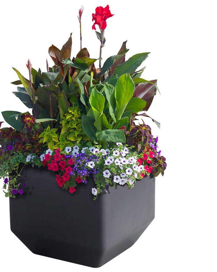 Versa 40.6 cm (16 in.) Square Self-watering Planter, 2-pack