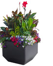 Versa 40.6 cm (16 in.) Square Self-watering Planter, 2-pack