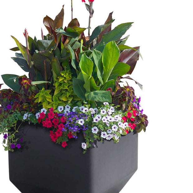 Versa 40.6 cm (16 in.) Square Self-watering Planter, 2-pack