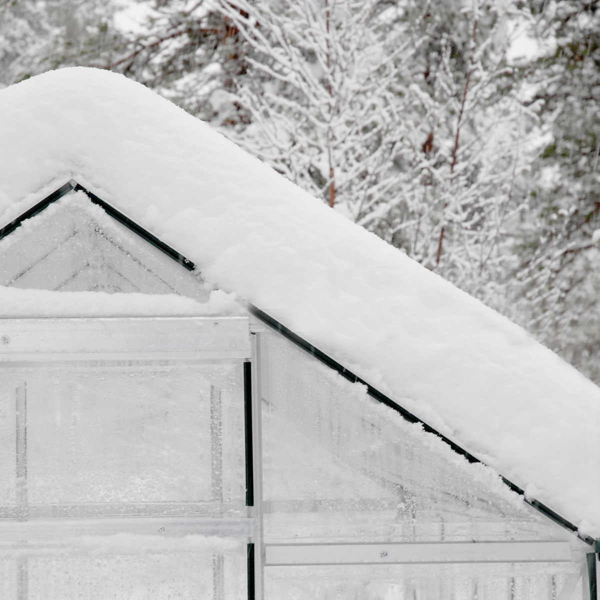 Canopia by Palram Build & Grow 6 ft. x 8 ft. Hybrid Greenhouse