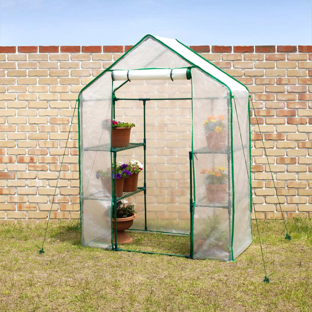 VegTrug Large Portable Greenhouse
