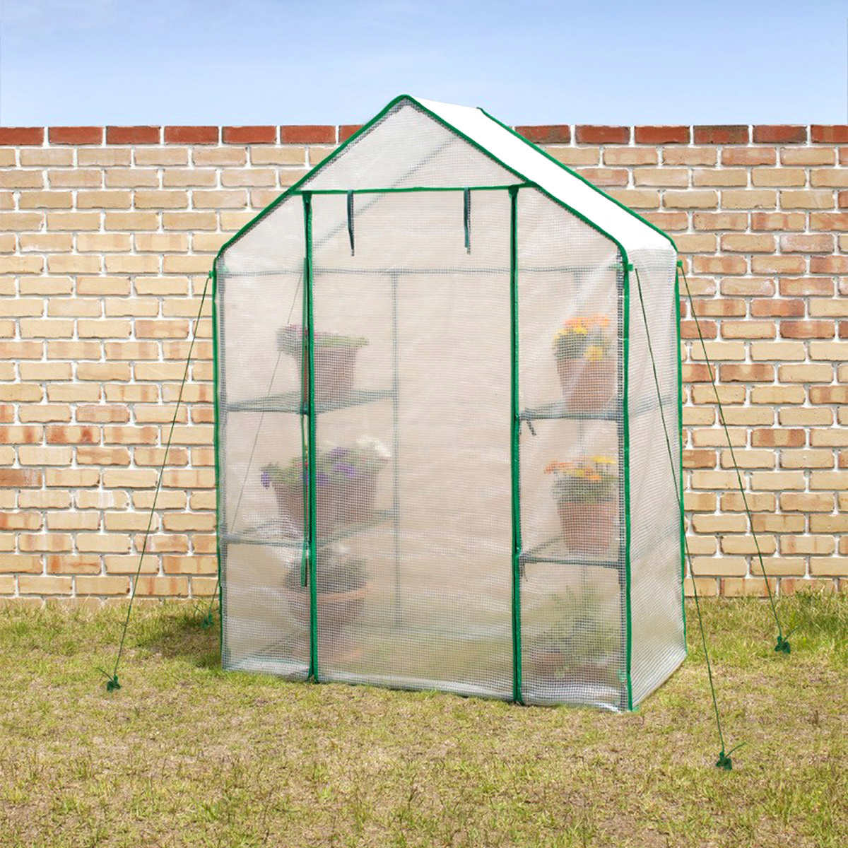 VegTrug Large Portable Greenhouse