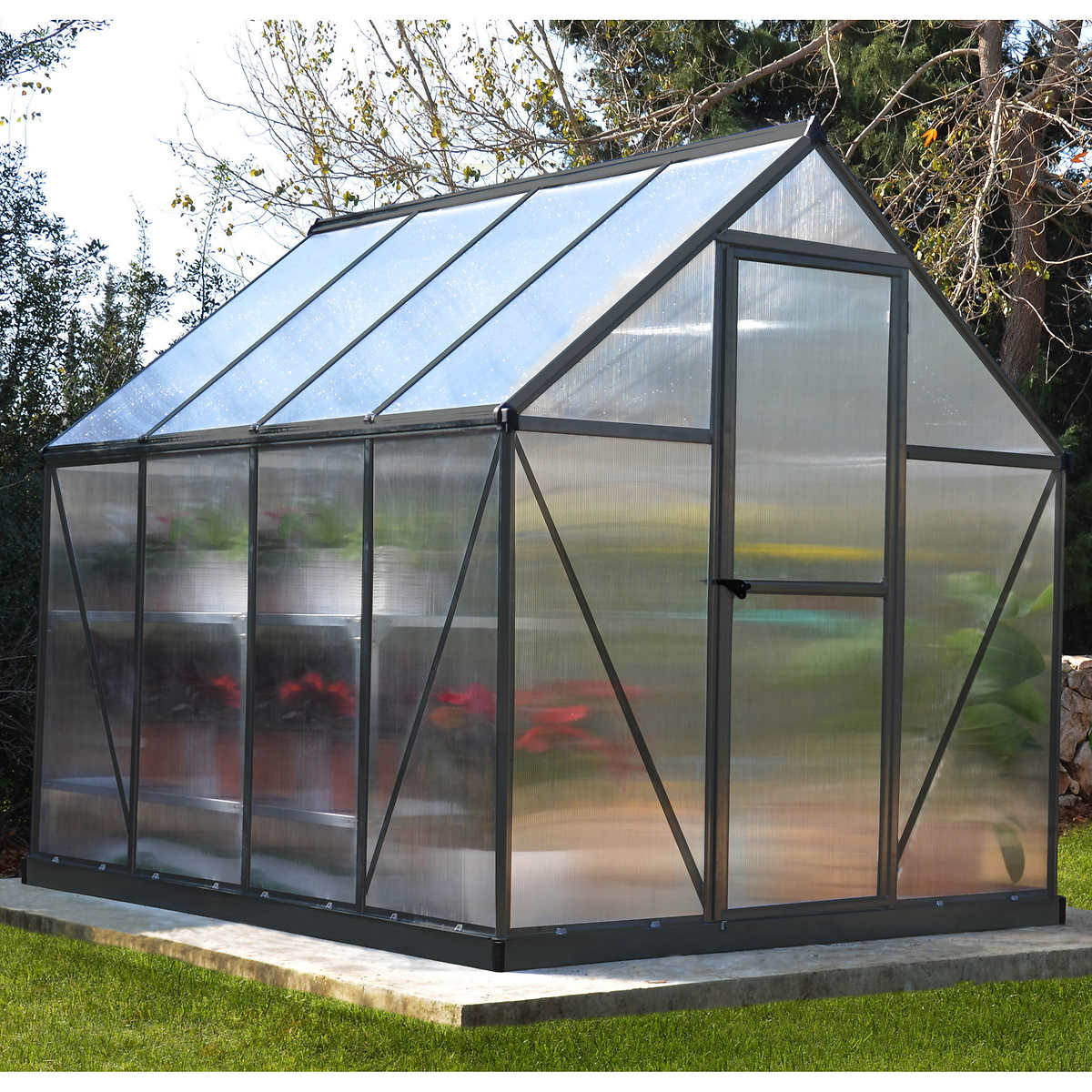 Canopia by Palram Build & Grow 6 ft. x 8 ft. Twin-Wall Greenhouse