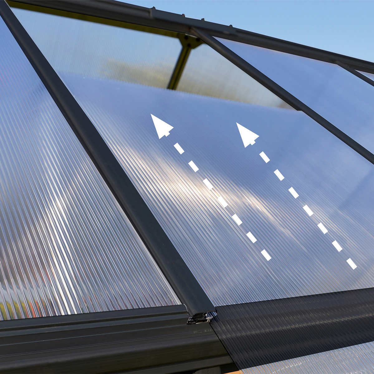 Canopia by Palram Build & Grow 6 ft. x 8 ft. Twin-Wall Greenhouse