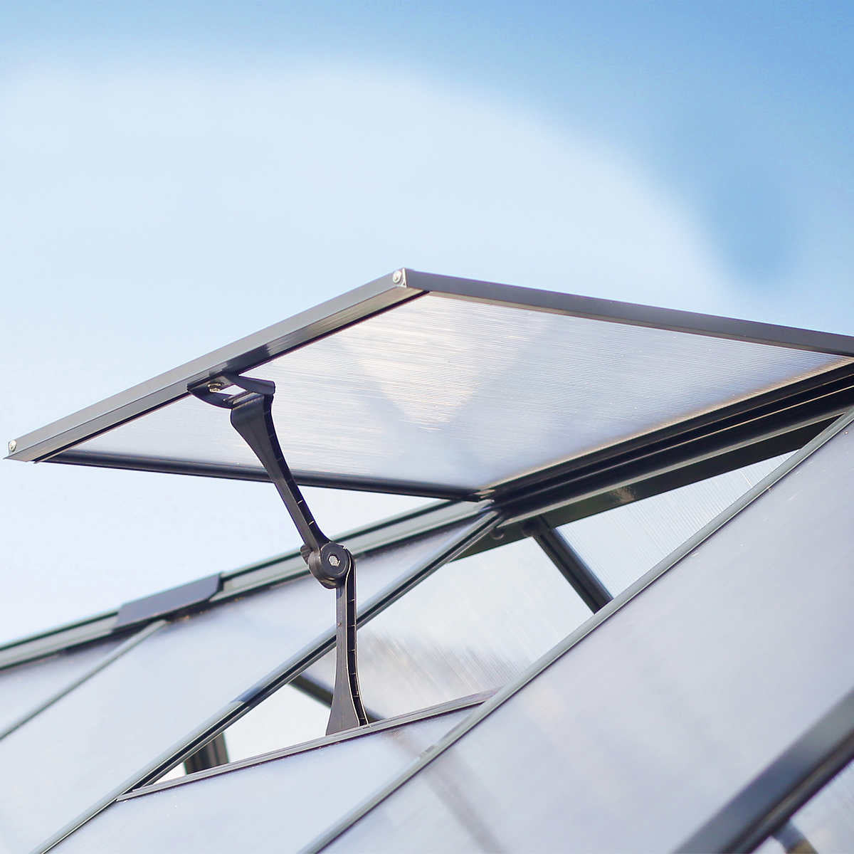 Canopia by Palram Build & Grow 6 ft. x 8 ft. Twin-Wall Greenhouse