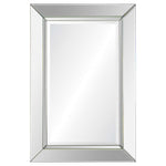 Rogue Rectangular Mirror with Beveled Mirror Frame