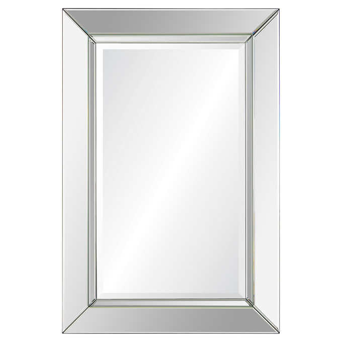 Rogue Rectangular Mirror with Beveled Mirror Frame