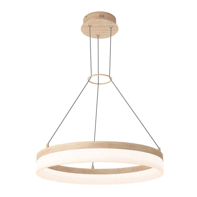 Artika Optical Ring LED Pendant Light Fixture