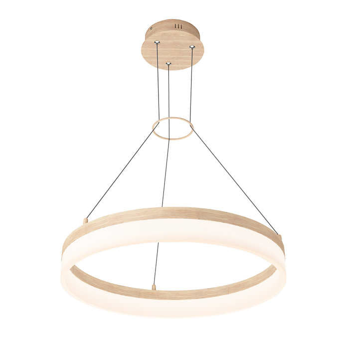 Artika Optical Ring LED Pendant Light Fixture