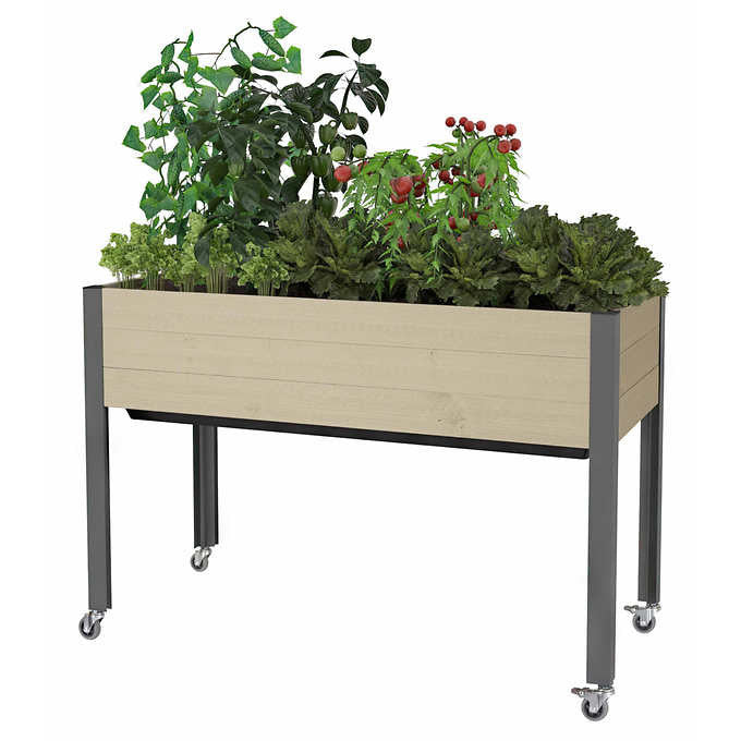 CedarCraft Self-watering Elevated Planter 21 in. × 47 in. × 32 in., Palmetto