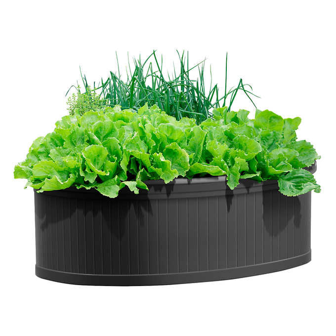 Ellipse Raised Garden Self-watering Planter
