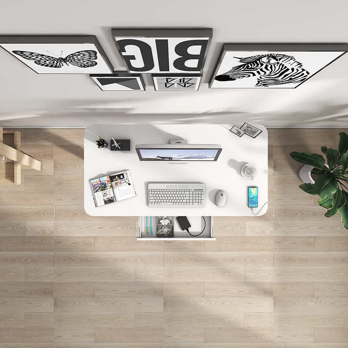 Motionwise 121.9 cm × 61 cm (48 in. × 24 in.) Height Adjustable Standing Desk