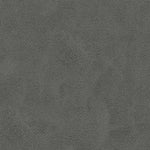 Amisco Clarkson Grey Bar or Counter Stool