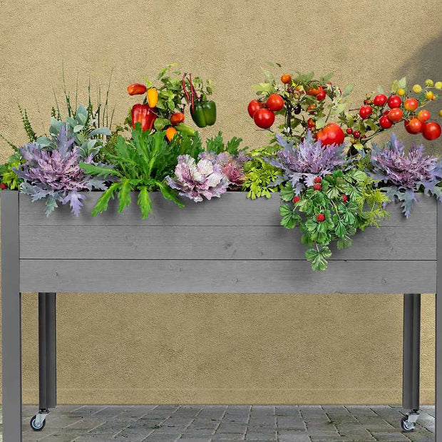 CedarCraft 81 cm (32 in.) Self-watering Elevated Planter with Greenhouse and Cover