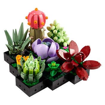 LEGO Botanical Collection: Succulents Plant Decor