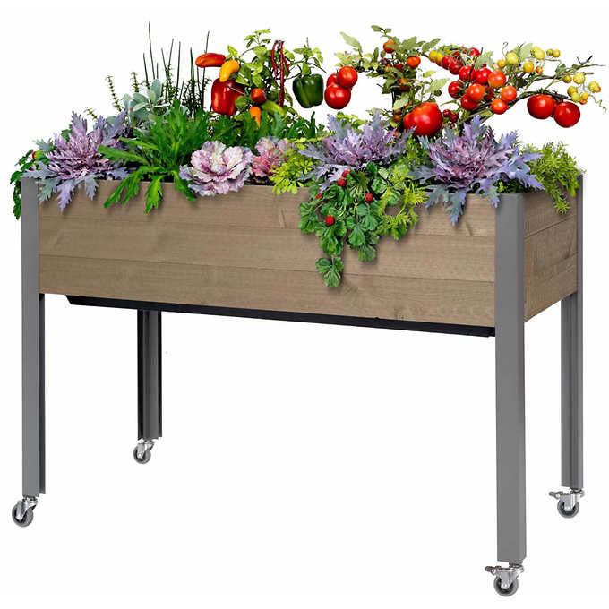 CedarCraft 81 cm (32 in.) Self-watering Elevated Planter