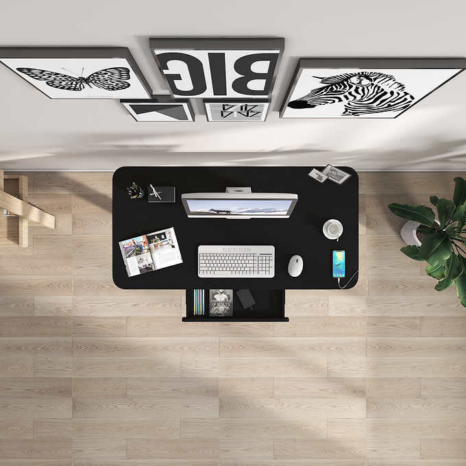 Motionwise 121.9 cm × 61 cm (48 in. × 24 in.) Height Adjustable Standing Desk