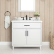 OVE Decors Jonah 36 in. Vanity with White Quartz Top