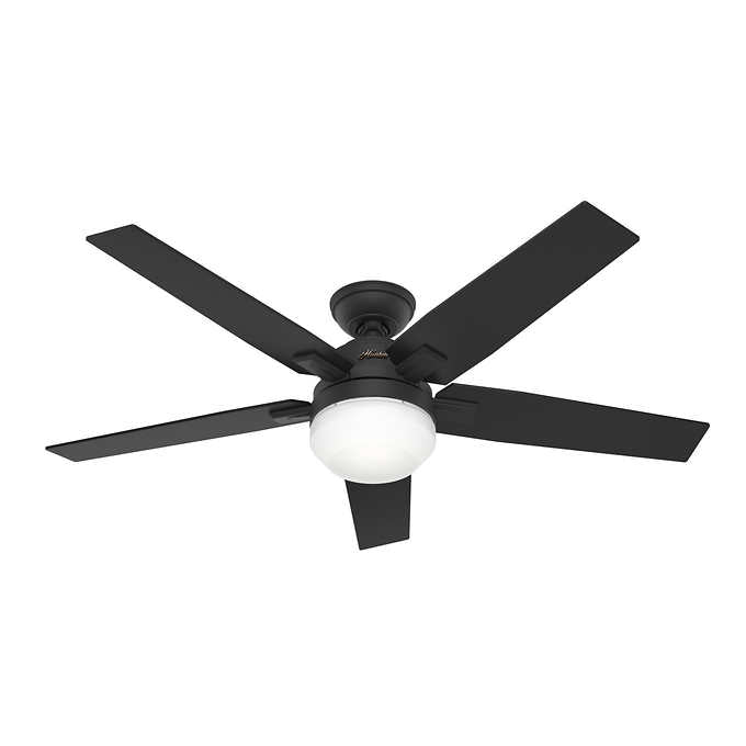 Hunter Fan Apex II 132 cm (52 in.) Ceiling Fan with LED Light