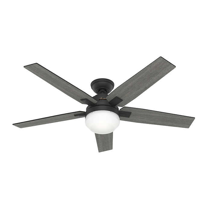 Hunter Fan Apex II 132 cm (52 in.) Ceiling Fan with LED Light