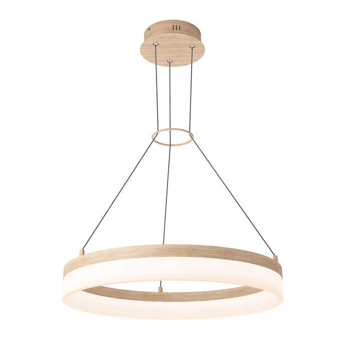 Artika Optical Ring LED Pendant Light Fixture