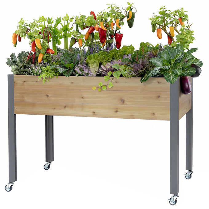 CedarCraft 81 cm (32 in.) Self-watering Elevated Cedar Planter