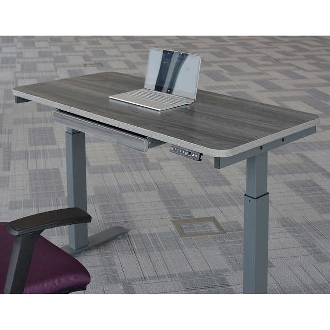 Motionwise 121.9 cm × 61 cm (48 in. × 24 in.) Height Adjustable Standing Desk