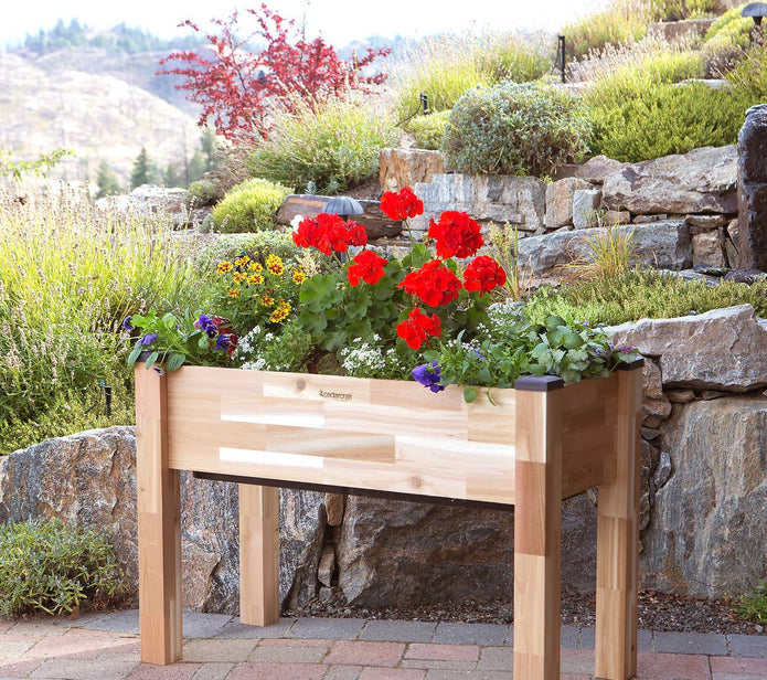 CedarCraft Self-watering Elevated Garden Planter 124.5 cm (49 in.)