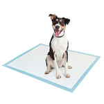 Tango Extra Large Training Pads, 128-count