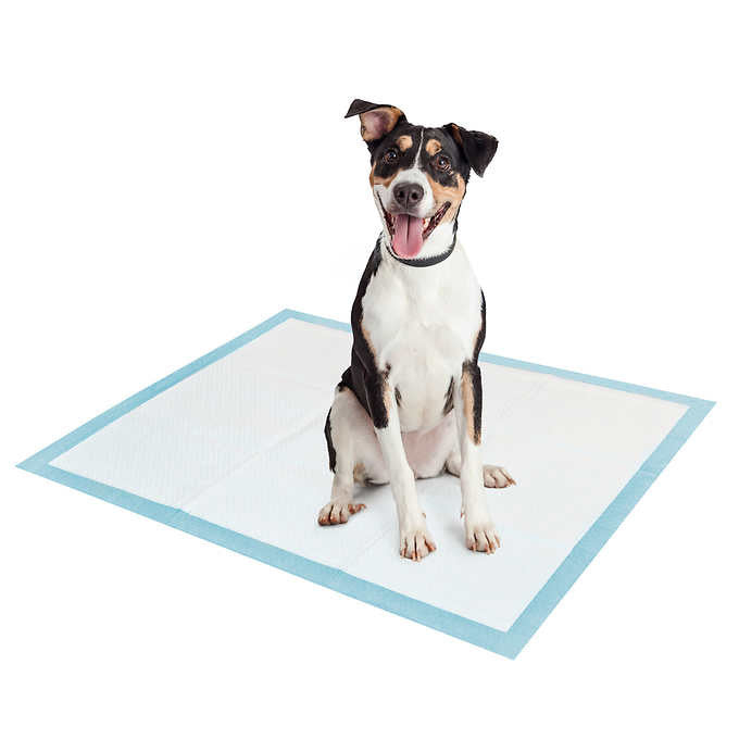 Tango Extra Large Training Pads, 128-count