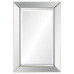 Rogue Rectangular Mirror with Beveled Mirror Frame