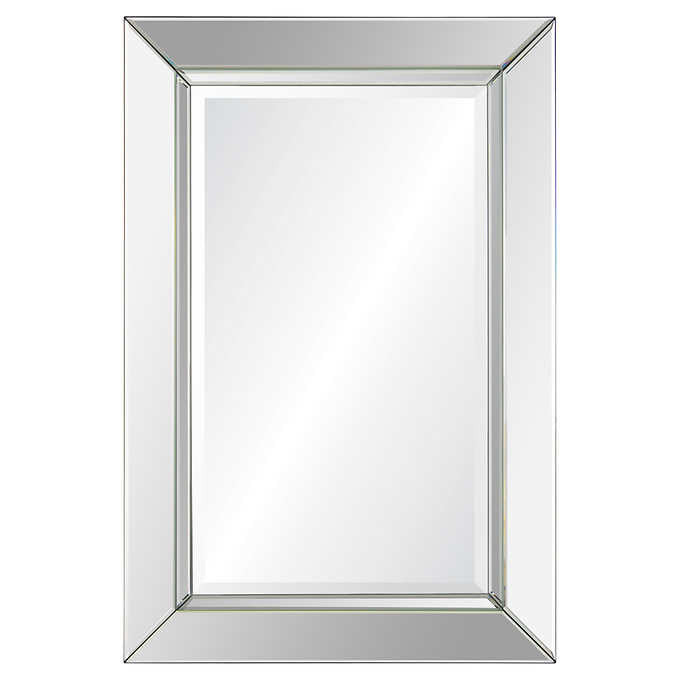 Rogue Rectangular Mirror with Beveled Mirror Frame