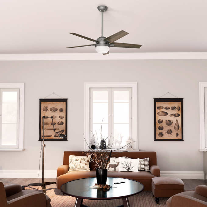 Hunter Fan Apex II 132 cm (52 in.) Ceiling Fan with LED Light